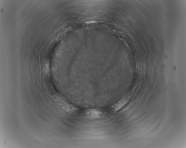 X0000076100610200610152345