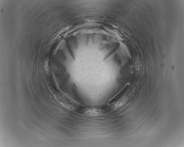 X0000076100611200610152345