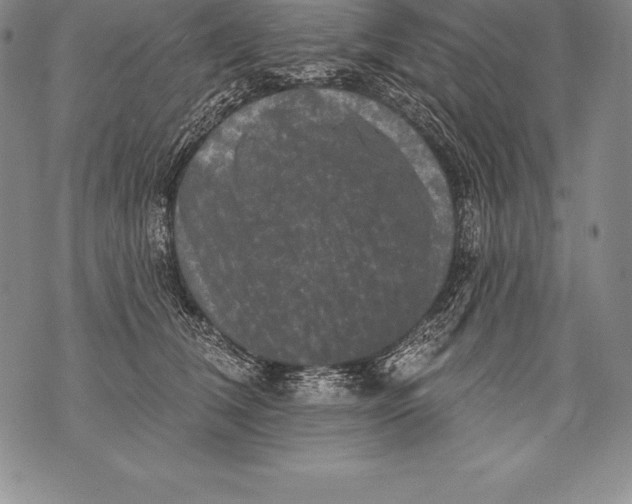 X0000076100612200610152345