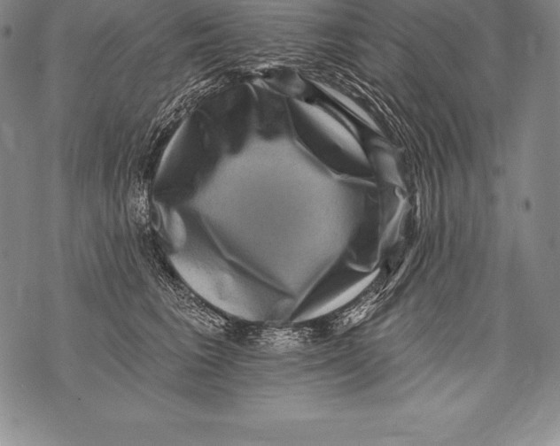 X0000076100613200610152345