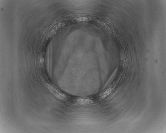 X0000076100614200610152345