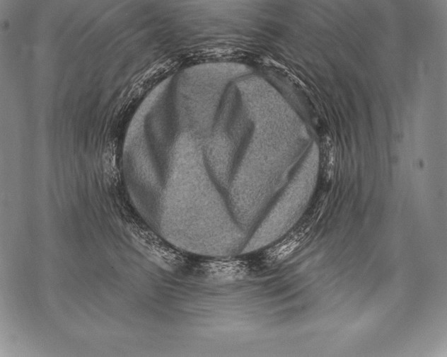 X0000076100615200610152345