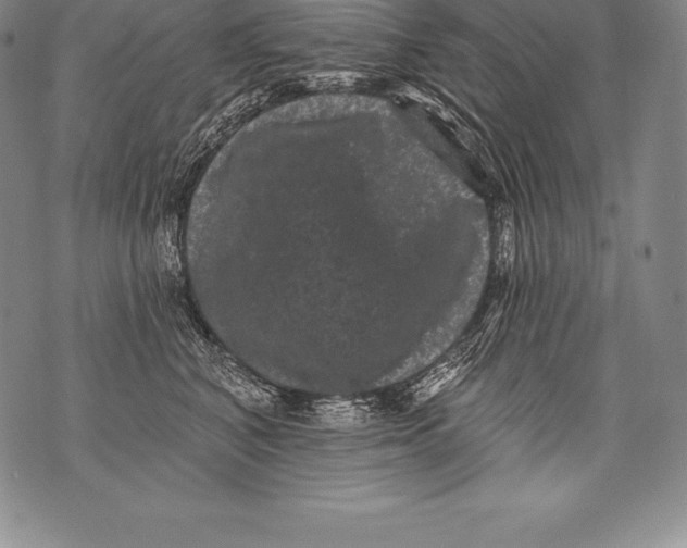 X0000076100616200610152345