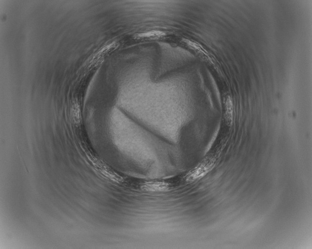 X0000076100617200610152345