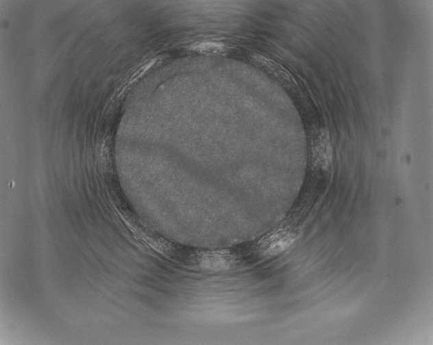 X0000076100618200610152345