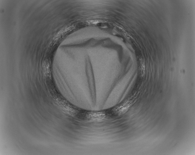 X0000076100619200610152345