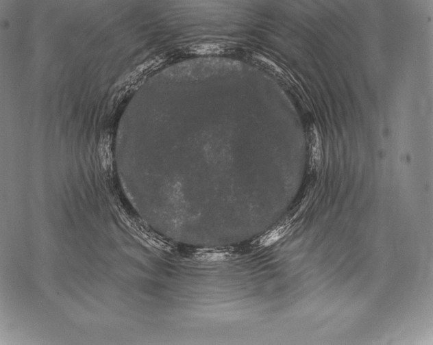 X0000076100620200610152345