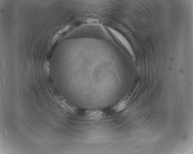 X0000076100621200610152345