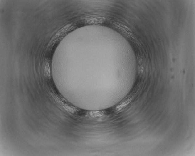 X0000076100622200610152345