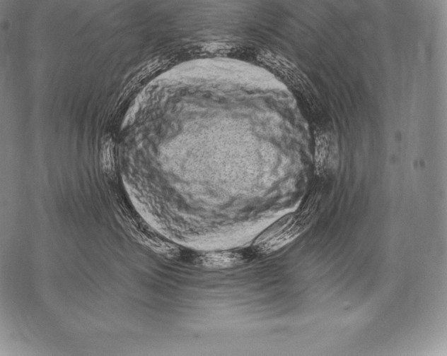 X0000076100623200610152345