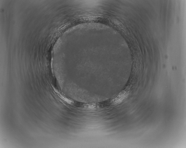 X0000076100624200610152345