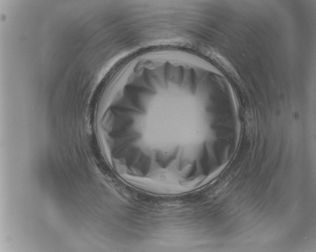 X0000076100628200610152344