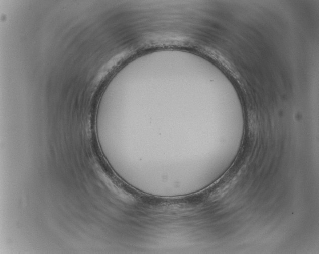 X0000076100629200610152344