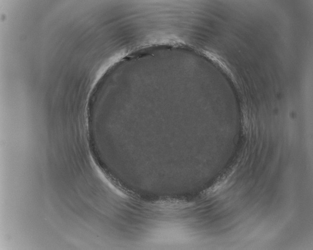 X0000076100630200610152344