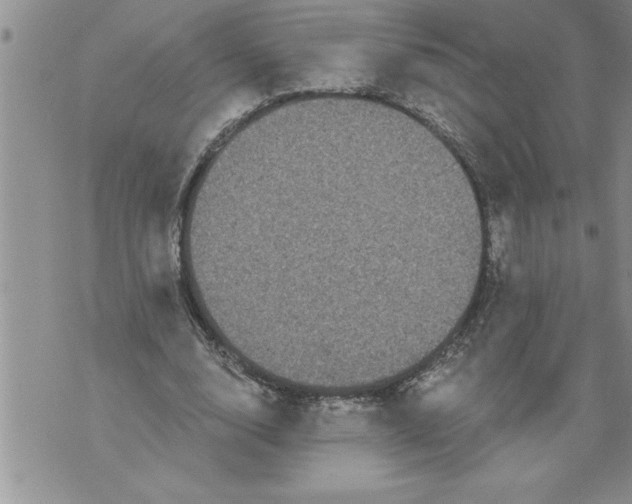 X0000076100632200610152344