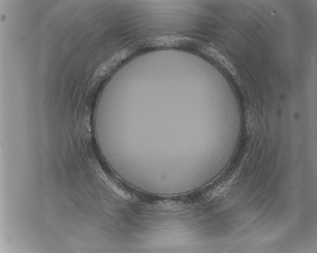 X0000076100633200610152344