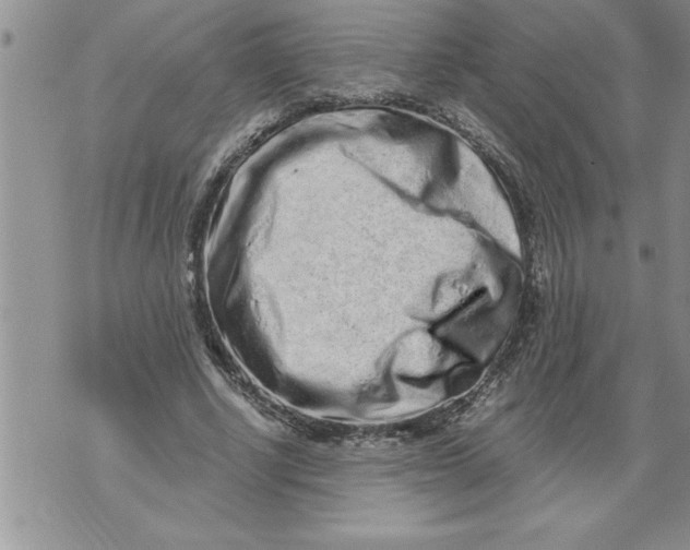 X0000076100634200610152344