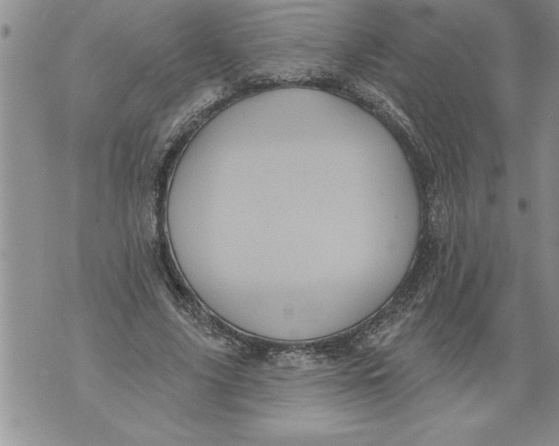 X0000076100635200610152344