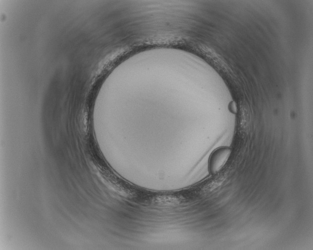 X0000076100636200610152344