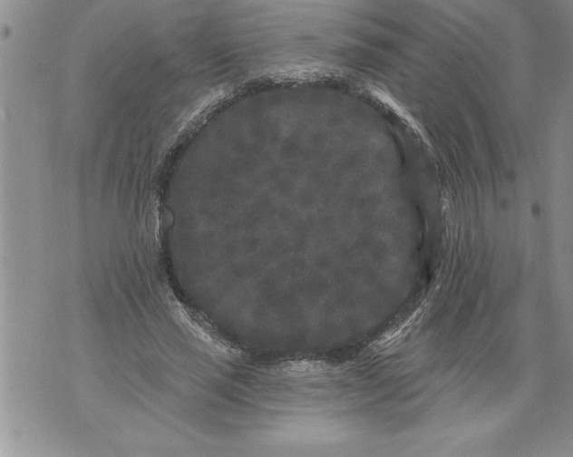 X0000076100637200610152344