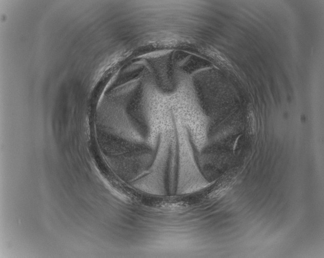 X0000076100638200610152344