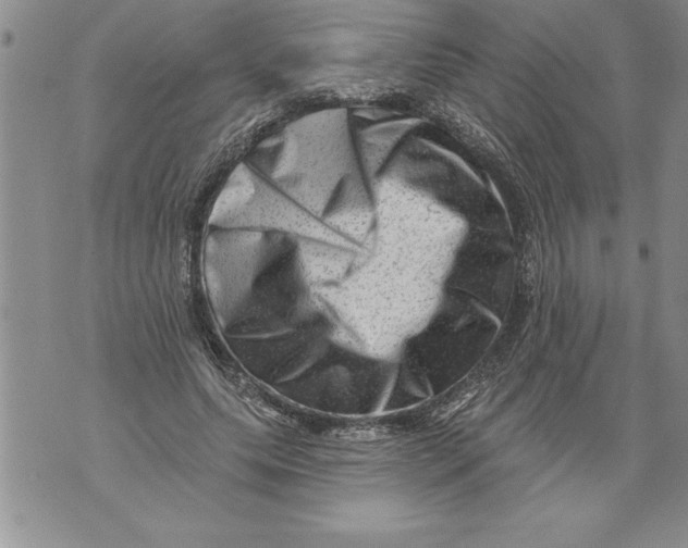 X0000076100639200610152344