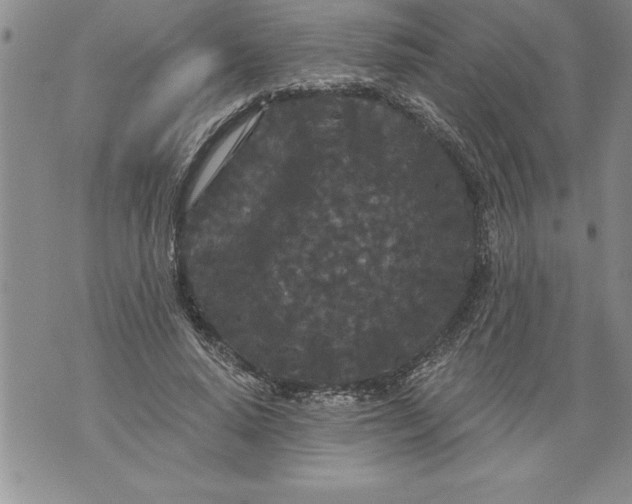 X0000076100640200610152344