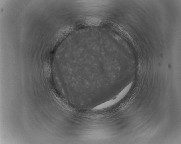 X0000076100641200610152344