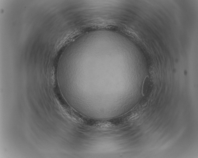 X0000076100642200610152344