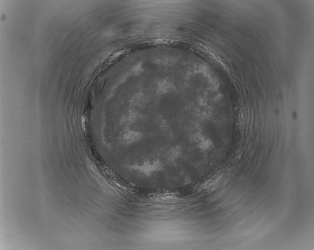 X0000076100643200610152344