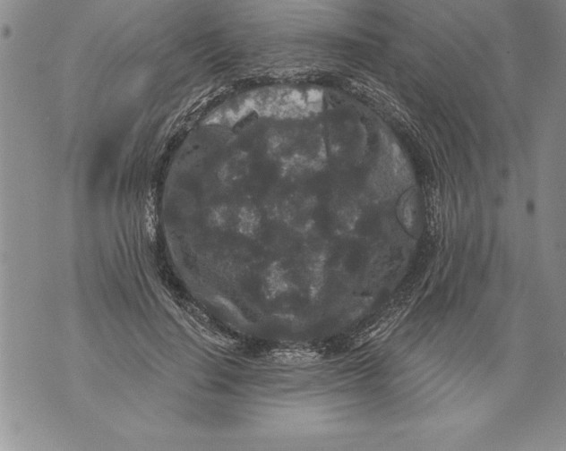 X0000076100644200610152344