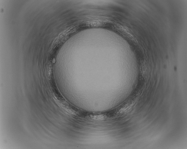 X0000076100645200610152344