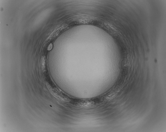 X0000076100646200610152344