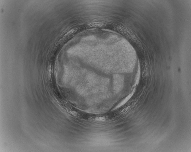 X0000076100647200610152344