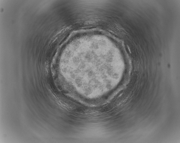 X0000076100648200610152344