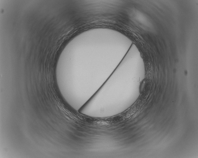 X0000076100649200610152344