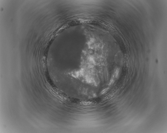 X0000076100650200610152344