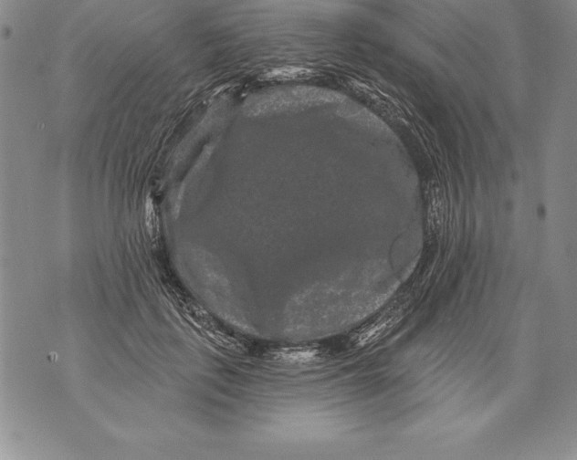 X0000076100651200610152344