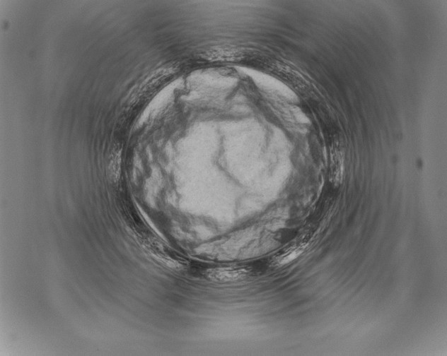 X0000076100652200610152344