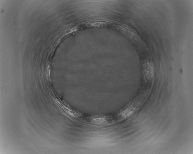 X0000076100653200610152344