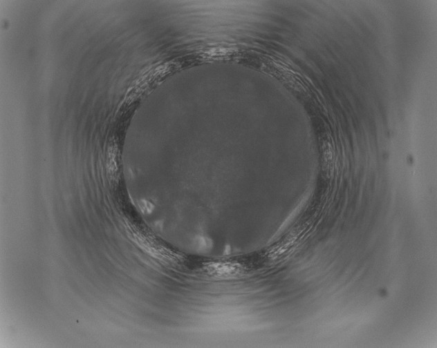 X0000076100654200610152344