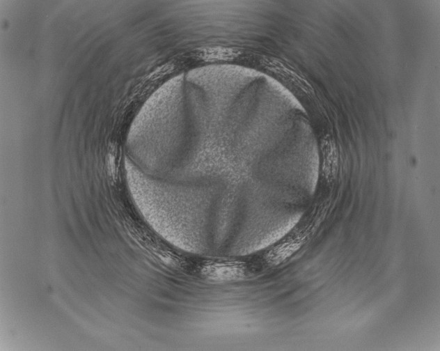 X0000076100655200610152344