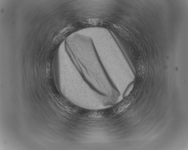 X0000076100656200610152344