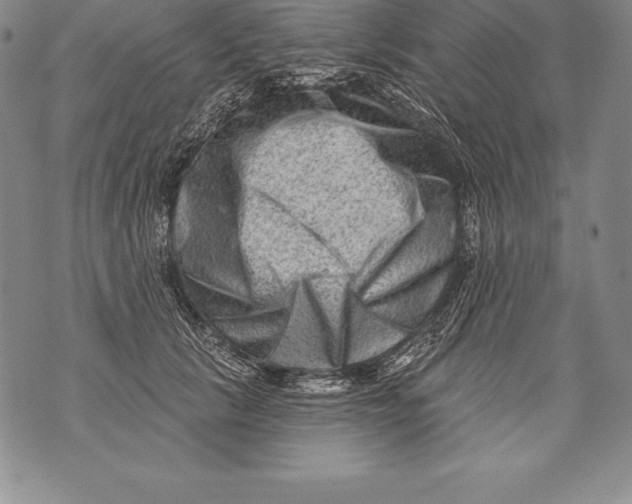 X0000076100657200610152344