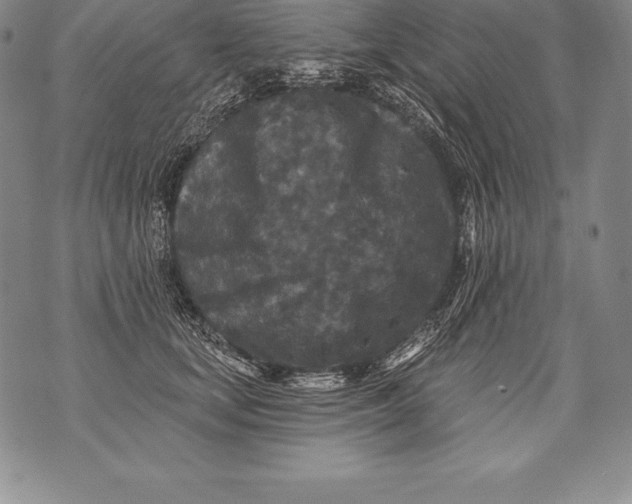 X0000076100659200610152344