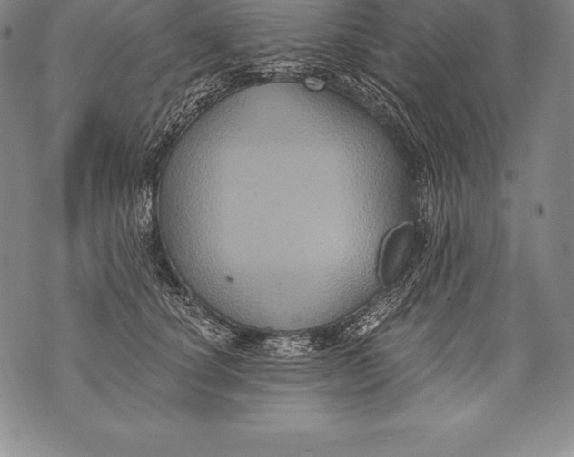 X0000076100660200610152344