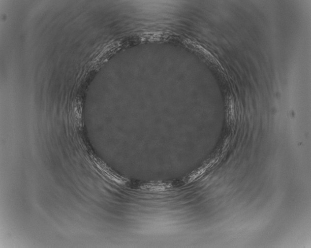 X0000076100661200610152344