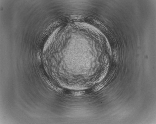 X0000076100662200610152345