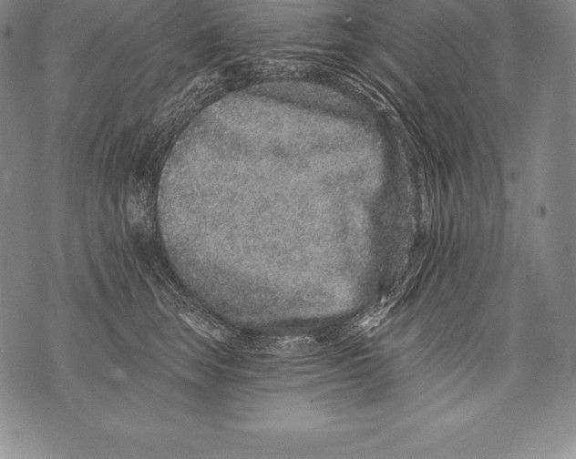 X0000076100663200610152345