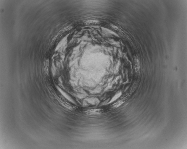 X0000076100664200610152345